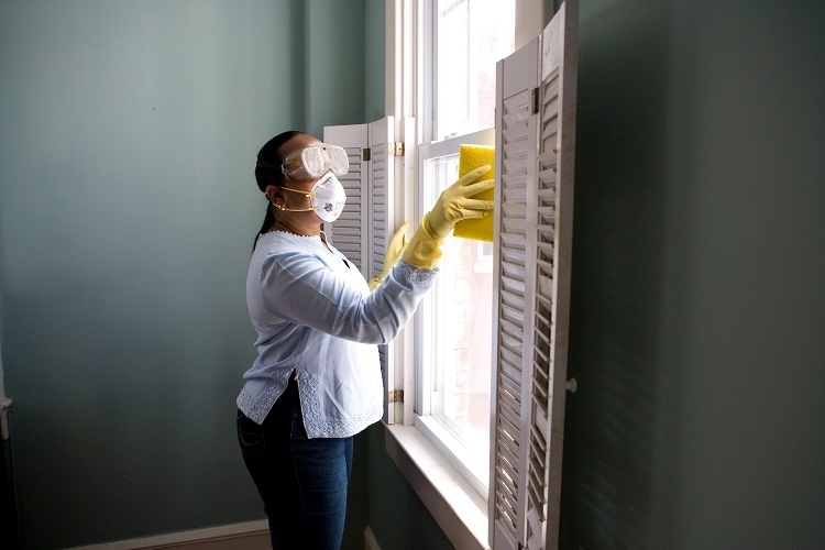 window cleaning companies