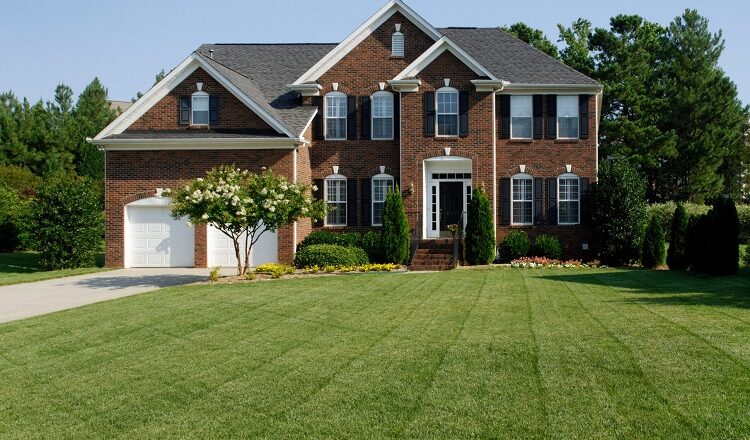Transform Your Lawn with Top-Quality Care Services in Ogden, UT!