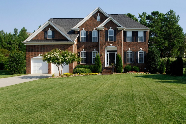Lawn