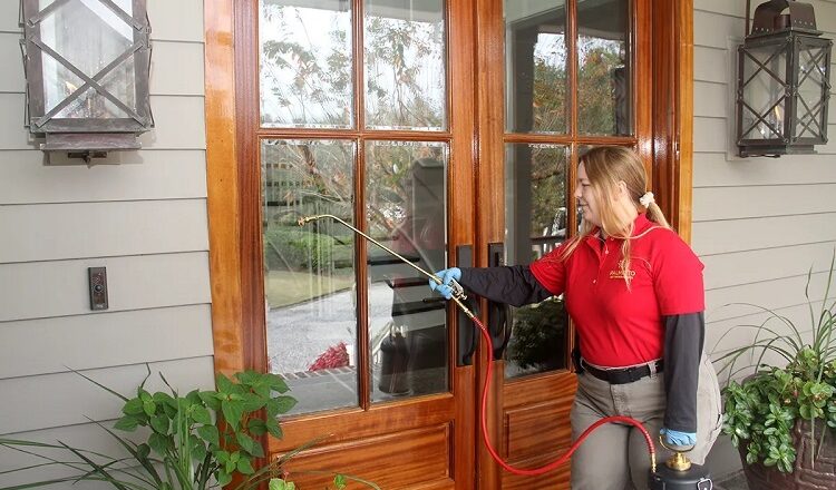 The Hidden Ecosystems in Your Walls: Managing Microbial Pests