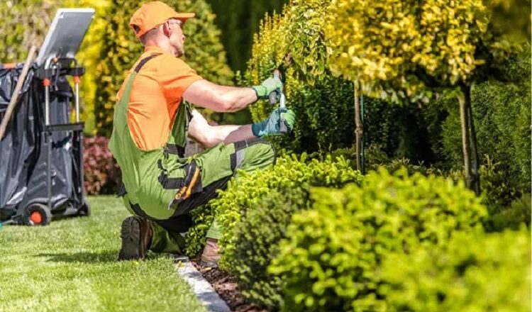 The Ultimate Checklist of Landscaping Services: What You Should Expect