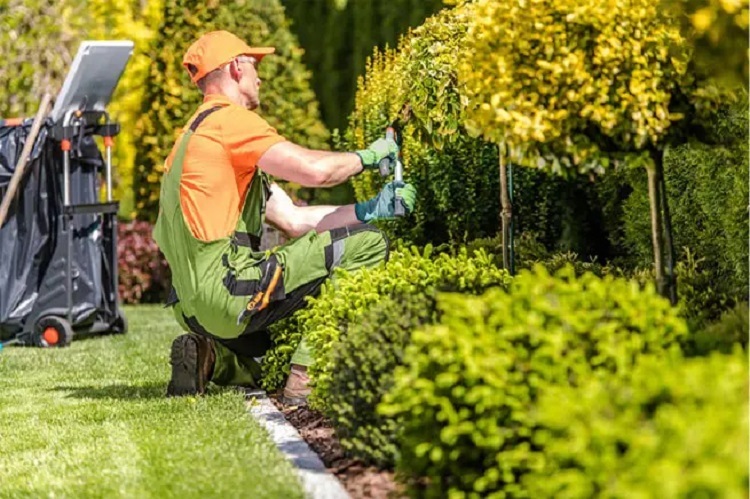 The Ultimate Checklist of Landscaping Services: What You Should Expect Landscaping Services
