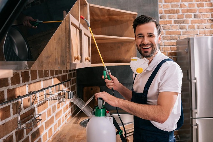 8 Facts Worth Knowing About Pest Control In Algonquin Pest Control