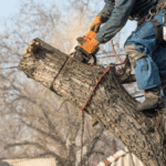 Why Land Clearing Is the First Step to Any Successful Construction Project