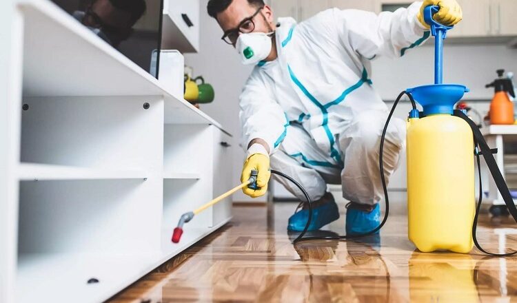 Follow Up After a Pest Control Service – What to Expect